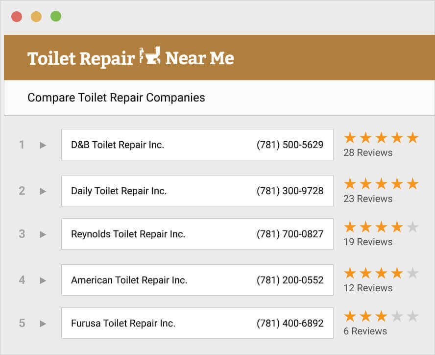 Toilet Repair